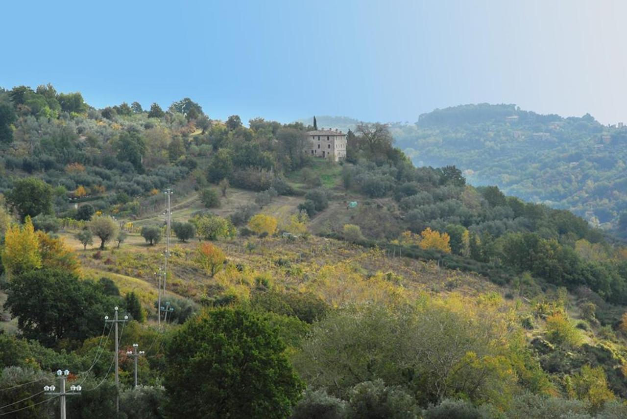 Agriturismo Il Poggio Degli Scoiattoli Bed & Breakfast Perugia Dış mekan fotoğraf