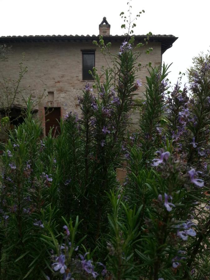 Agriturismo Il Poggio Degli Scoiattoli Bed & Breakfast Perugia Dış mekan fotoğraf