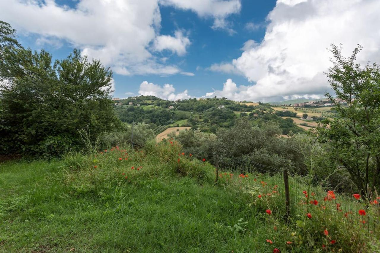 Agriturismo Il Poggio Degli Scoiattoli Bed & Breakfast Perugia Dış mekan fotoğraf