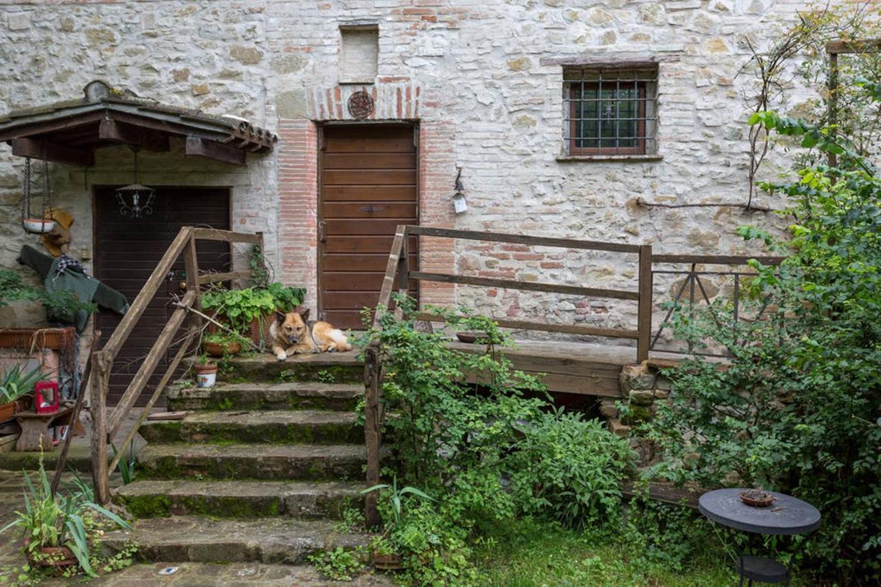 Agriturismo Il Poggio Degli Scoiattoli Bed & Breakfast Perugia Dış mekan fotoğraf